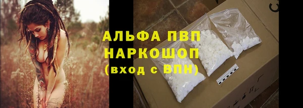 ПСИЛОЦИБИНОВЫЕ ГРИБЫ Семёнов