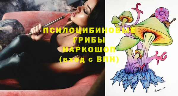 ПСИЛОЦИБИНОВЫЕ ГРИБЫ Семёнов