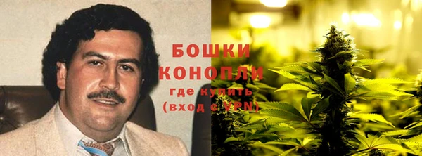 ПСИЛОЦИБИНОВЫЕ ГРИБЫ Семёнов